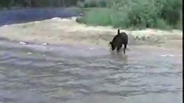 Christina Lake, BC With BOOMER & MELINDA 2007