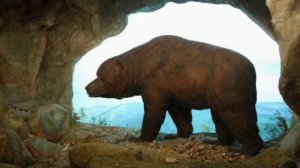 ПЕРВОБЫТНАЯ ИСТОРИЯ Краснодарского края