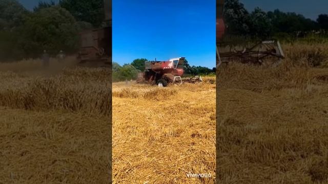 Молотим городи НИВА СК5-М1 смотреть онлайн