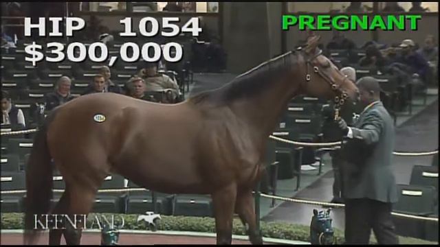 2014 November Breeding Stock Sale: Hip 1054 - Harriet смотреть онлайн