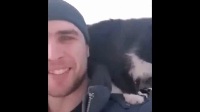 Коты и Кошки Зимой. Снегу все радуются по разному. Смешные кошки. Приколы с котами смотреть онлайн