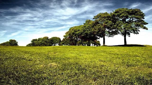 Работа мерчендайзером хенкель,магазин Ашан смотреть онлайн