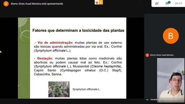 I SEMANA FARMACÊUTICA on-line FASP/FASC - PLANTAS TÓXICAS смотреть онлайн