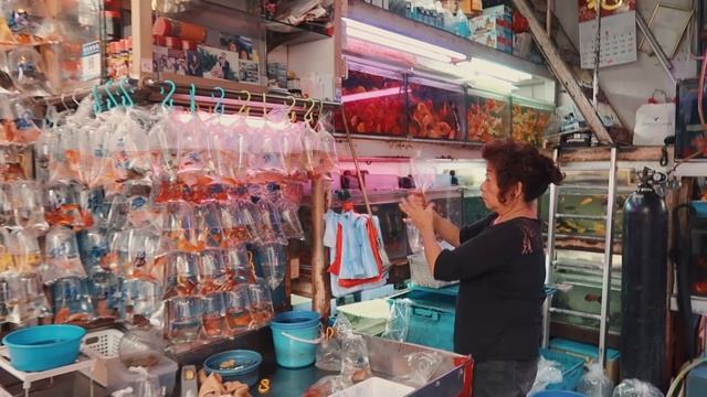 соло-путешествие в Гонконг, Slow Travel