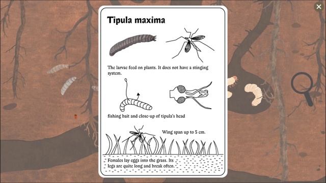 Little Mouse's Encyclopedia смотреть онлайн