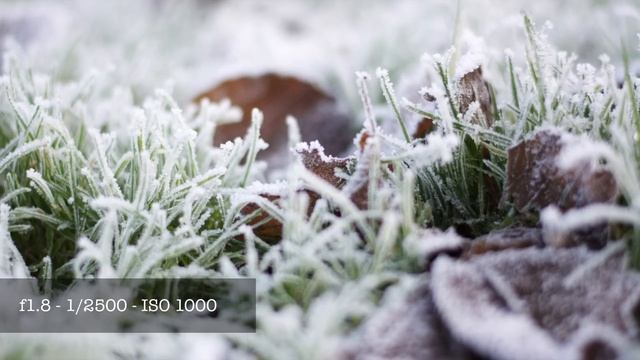 Nikon Nikkor AF-S 50mm f1 8G Prime Lens Test Sample Photos 4K смотреть онлайн