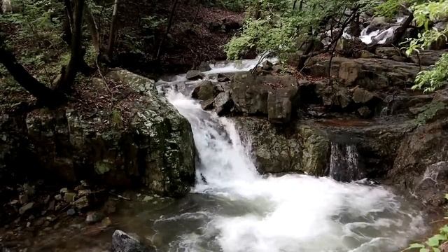 5 Мая  Денежное Полнолуние. Каждый умоется изобилием и достатком. Как загадать Желание
