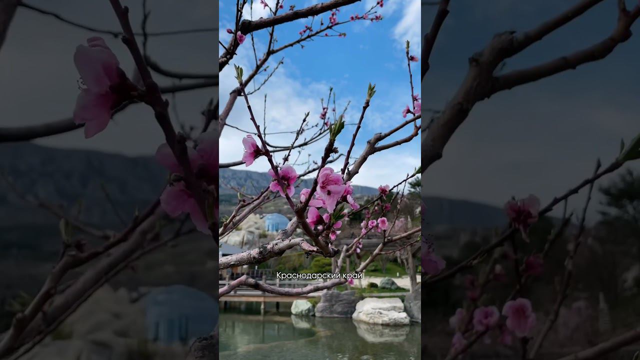 Где жить в России? Самые быстроразвивающиеся регионы #путешествия смотреть онлайн