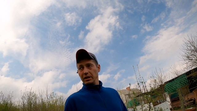 Что стало с клёном сорняком через год загнулся или начал расти заново? смотреть онлайн