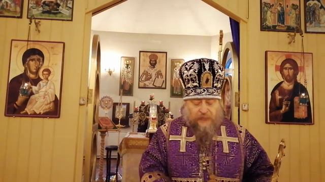 Ценность человека, его мудрость и глупость смотреть онлайн