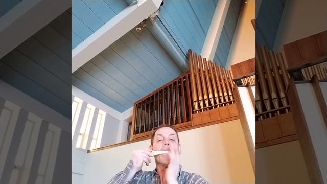 Jaw harping time with Eve made by Vargan-Ekb International .Video 1 without magnetic ball. смотреть онлайн