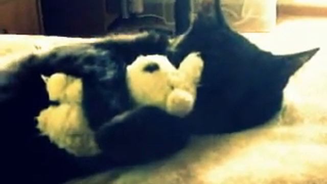 Кот тоскует смотреть онлайн