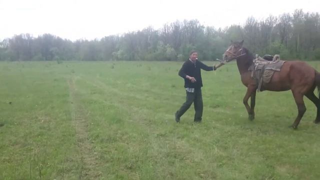 Башкирский ковбой 2 смотреть онлайн