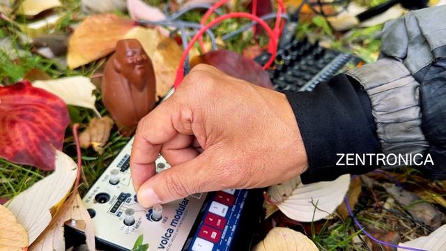 korg volca modular / aira compact T8 / 尺八　outdoor jam смотреть онлайн
