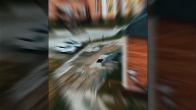 |desert rose|пустынная роза| смотреть онлайн