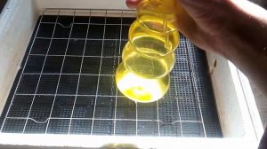 Как правильно подготовить инкубатор к инкубации! Мои рекомендации