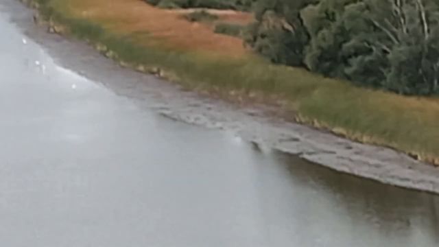 19 сентября 2021 г. вВ лесу сухо, грибов нет. Разговор в машине. Полюбовались на речку Шишму. смотреть онлайн