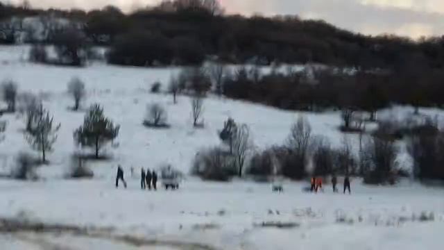 Wild bore hunting with Rudartsi syndicate смотреть онлайн