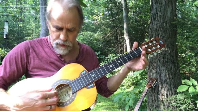 Octave Mandolin and guitar hybrid demo смотреть онлайн
