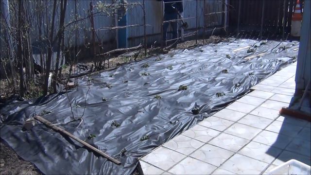 ВЛОГ: начало МАЯ. ЭКСКУРСИЯ по НАШЕМУ УЧАСТКУ смотреть онлайн