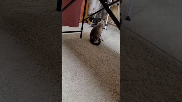 Новый год закончился смотреть онлайн