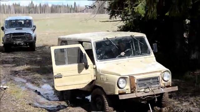 Прогулка по лесу.... смотреть онлайн