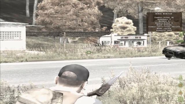 Let's Survive DayZ #018: Adrenalin Pur! смотреть онлайн