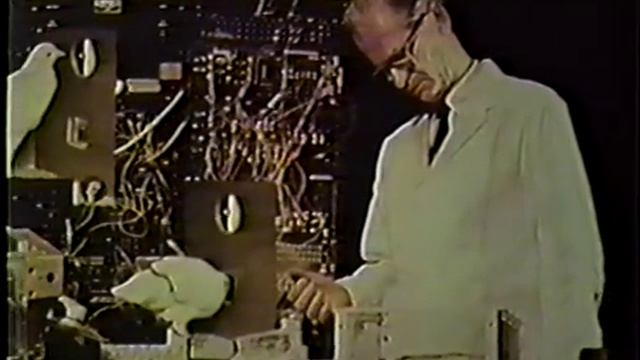 BF Skinner Foundation - Skinner Box смотреть онлайн