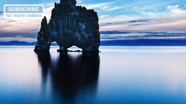 1 HOUR of Relaxing Dog Music. Simple but Effective!! Try it Today and Watch! смотреть онлайн