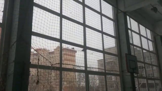F1N смотреть онлайн