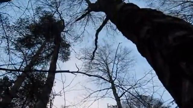 в семи ( 7 ) км. от Санкт Петербурга - Кузьмолово смотреть онлайн