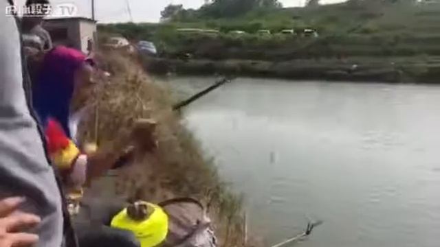 Херабуна,ловля на скорость.Тесто-насадка и локоть. смотреть онлайн