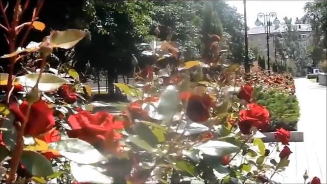 ДОНЕЦК-город миллионов роз... смотреть онлайн