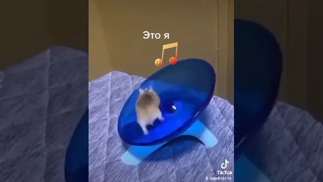 2021-01-28-142356154.mp4