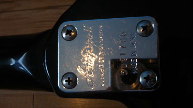 Aria Pro II Wildcat смотреть онлайн