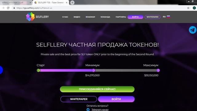 Обзор ICO SELFLLERY смотреть онлайн