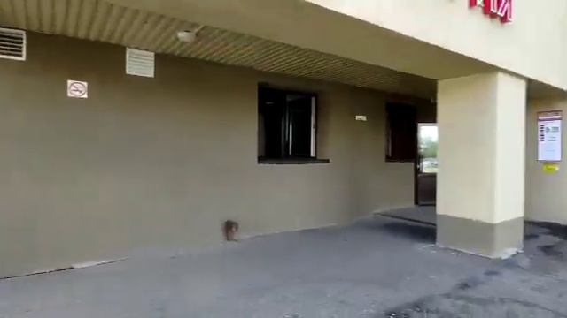 Рихарда Зорге, 102 смотреть онлайн