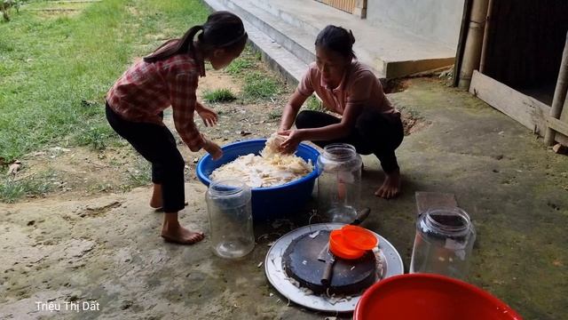 Video Full: Harvesting Bamboo Shoots. Fruit. Bring It To The Market To Sell. Make Sour Bamboo Shoot