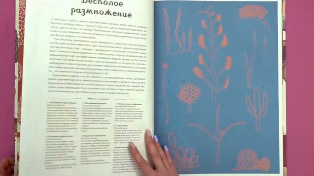 Энциклопедия «Грибы» смотреть онлайн