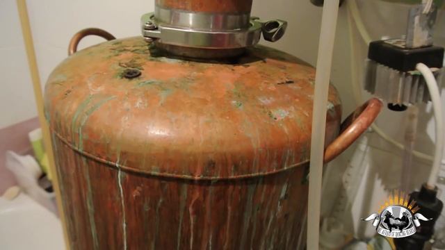 Кодзи и Медведь. #1. Гречишный полугар.