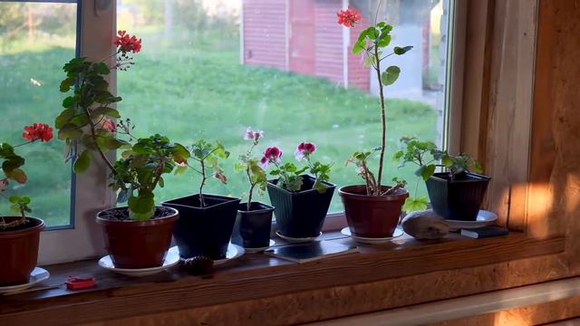 Евангелие через картины 21.08.2021