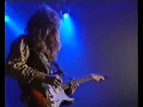 Чиж & Co - Кругом тайга... (Greatest Hits: Live, 1995) смотреть онлайн