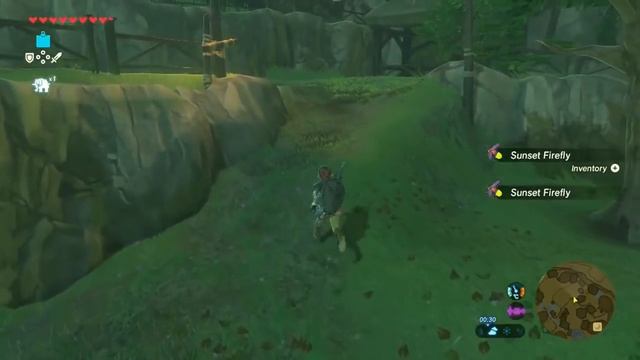 Zelda: Breath of the Wild | By Firefly's Light Side Quest - Dueling Peaks Tower Region смотреть онлайн