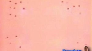 Preview 2 Спокойной Ночи Малыши D'n'B Remix Effects (Preview 2 Funny 2022.69 Effects)