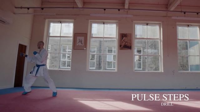 Karate Pulse Step trailer for Karate Kumite смотреть онлайн