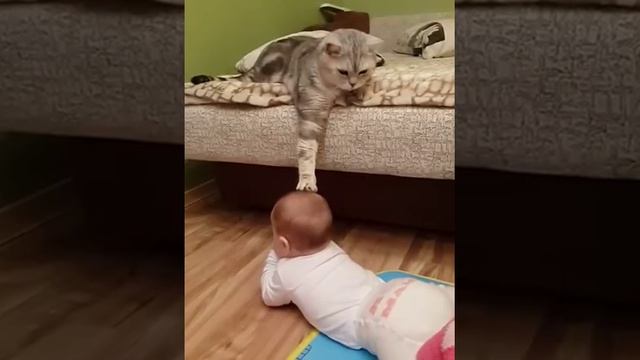 Ребенок и кот. Cat and baby. Смешное видео. Дети и кошки. смотреть онлайн