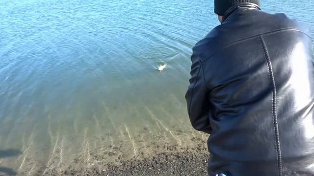 Рыбалка.Щука 3.500 кг. на тарань.2020Г. смотреть онлайн