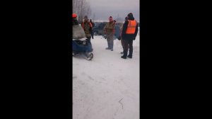 Охота на волка Ярославская обл