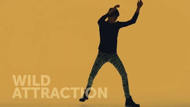 WILD KINGDOM. Новая коллекция причесок от Framesi. Прически 2019 смотреть онлайн