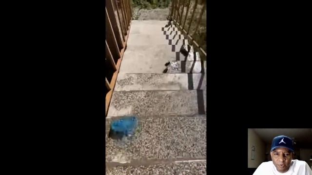 Breaking Glass Bottles! Pepsi Vs Cocacola! (Reaction)